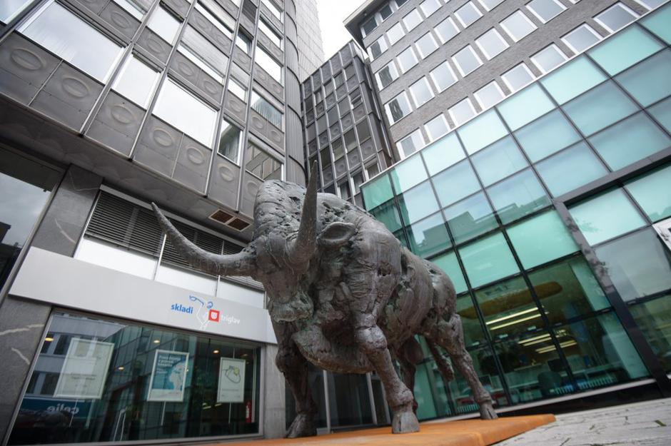 mipov bik | Avtor: Anže Petkovšek