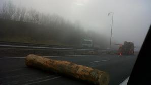 Raztresena hlodovina pri Razdrtem (Foto: bralec)