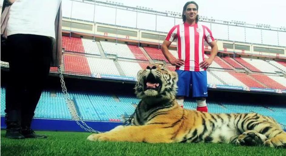 Falcao tiger Atletico Madrid Vicente Calderon Lorelei Dahiana kletka