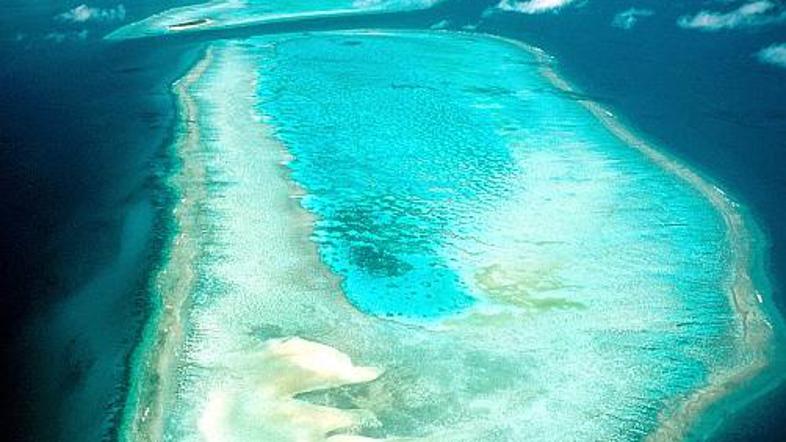 Kdo ne bi hotel biti oskrbnik otoka v Velikem koralnem grebenu, ki ga je CNN uvr