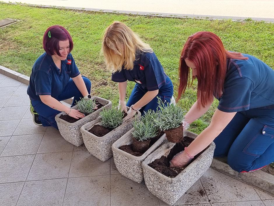 Petrol | Avtor: Petrol