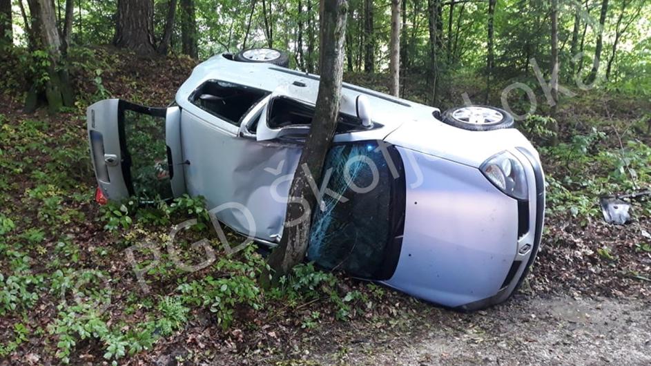 Prometna nesreča, avto trčil v drevo