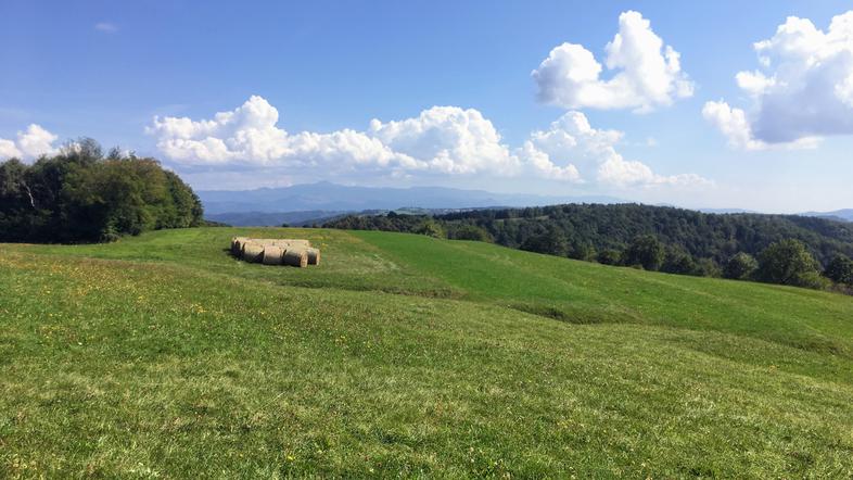 Kolesarjenje po Brkinih