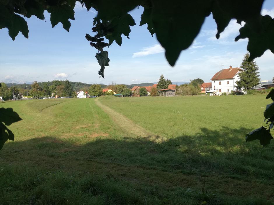 Ruski car Ježica | Avtor: 