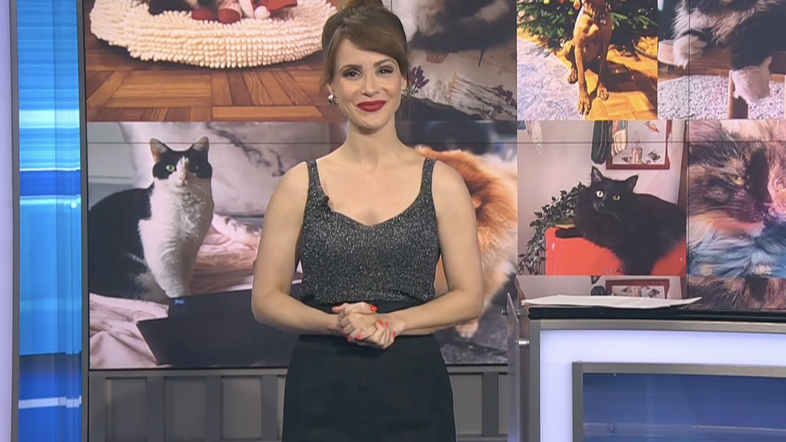 Polona Zoja Jambrek
