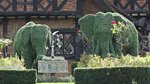 Angelina Jolie, Brad Pitt