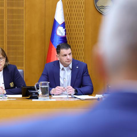zoran stevanović kolelgij DZ