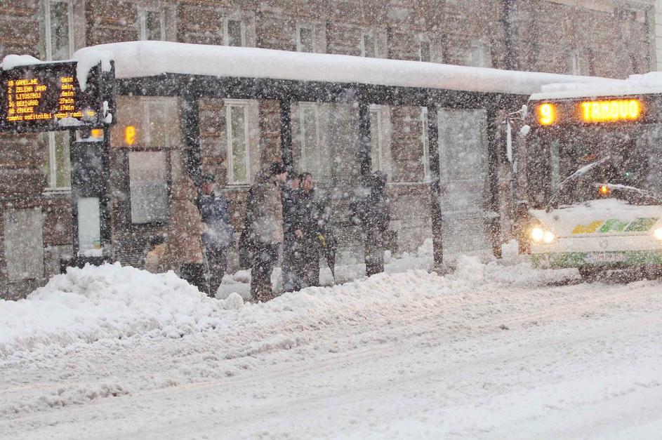 Sneg v Ljubljani 