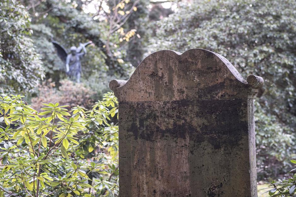 pokopališče | Avtor: Profimedia