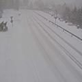Sneg cestne kamere