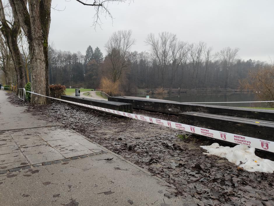 Ptičja gripa na Koseškem bajerju | Avtor: Žurnal24 