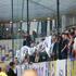 Viole Maribor navijanje sal sali zastave severna tribuna sever navijac navijaci 