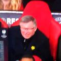 alex ferguson semafor