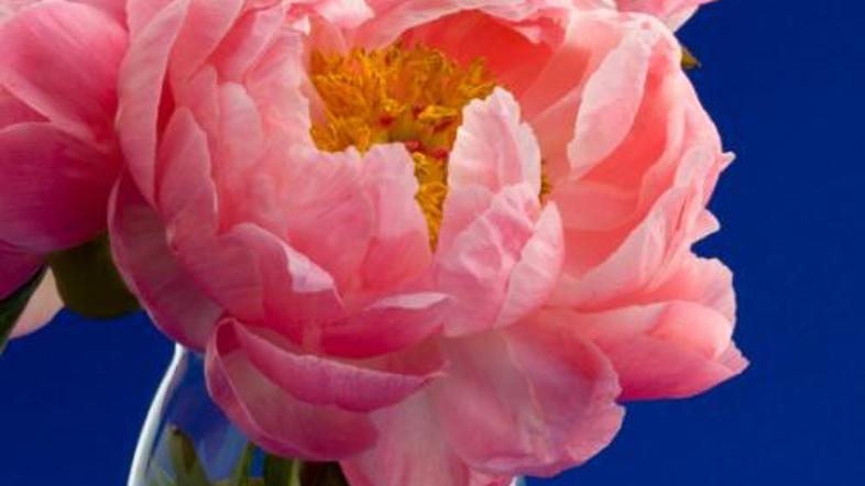 Potonike so v spalnici dobrodošle, a z njimi ne pretiravajte.