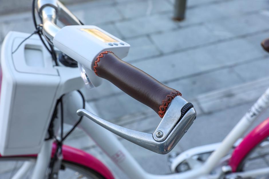 Askoll eb1 | Avtor: Saša Despot