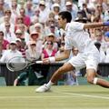 wimbledon polfinale djokovic tsonga 2011