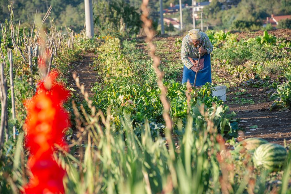 Francka Mljač | Avtor: Anže Petkovšek