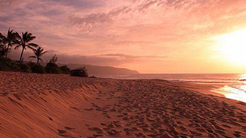 Havaji čakajo na "obamaturiste". Chicago tudi.
