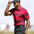 Tiger Woods
