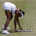 grand slam Venus Williams konec četrtfinale Wimbledon 2010
