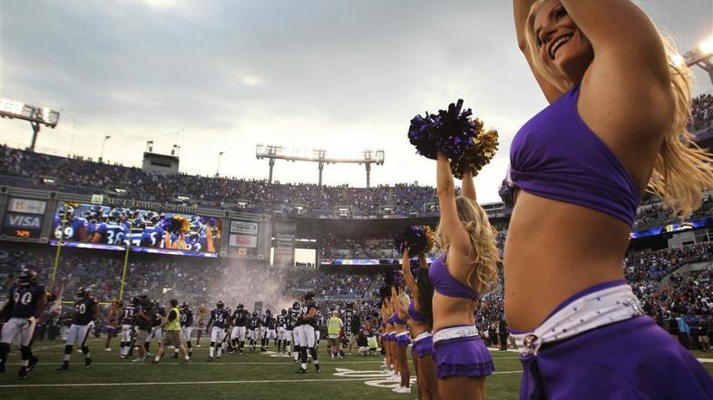 navijačice baltimore ravens nfl