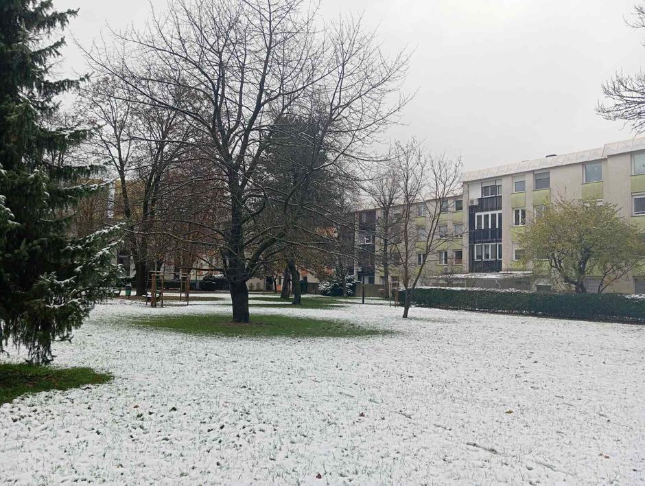 Vreme, sneg v Ljubljani | Avtor: V. L. 