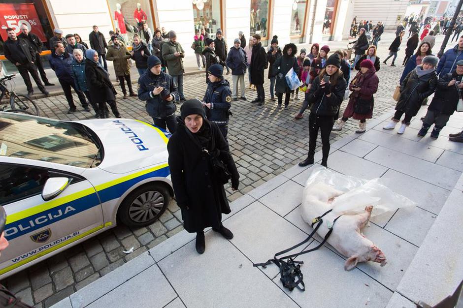 Performans 100KG, vlečenje prašiča po ulicah Ljubljane | Avtor: Nada Žgank / Arhiv Galerije Kapelica