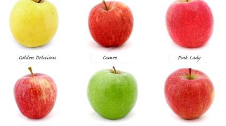 Jabolko je vedno dobrodošla malica.