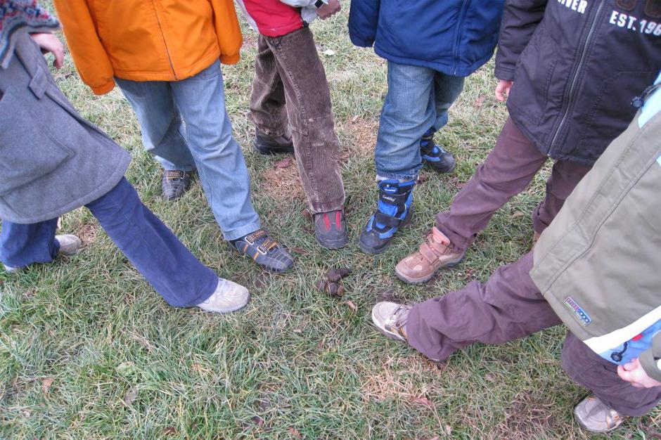 Pasji iztrebki | Avtor: Žurnal24 main