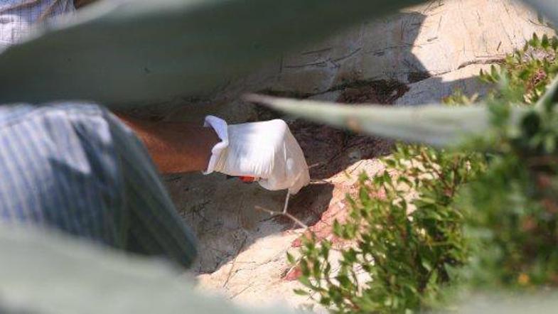 Krvav madež na mestu, kjer naj bi se zgodilo posilstvo.