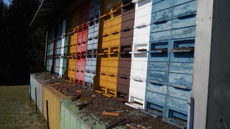 (Foto: Barbara Bradač)