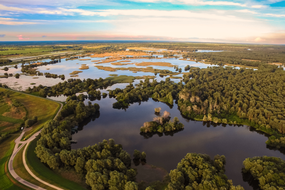 Naravni park Kopački rit | Avtor: Ivo Biocina