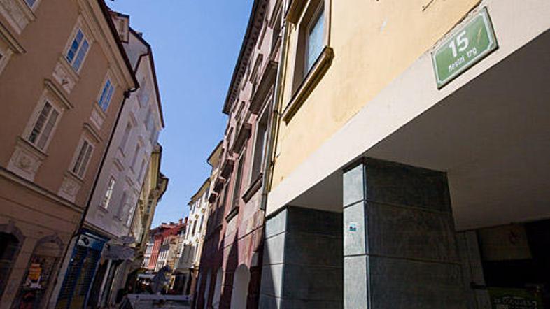 Trinadstropna stavba z mansardo in podstrešjem bo morda namesto novega lastnika 