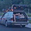 avto prtljažnik