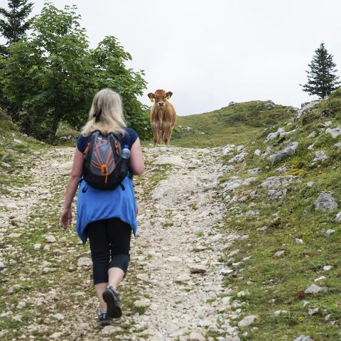 Pohodnica z nahrbtnikom hodi po planinski poti v slovenskih gorah med vzponom proti Triglavu.