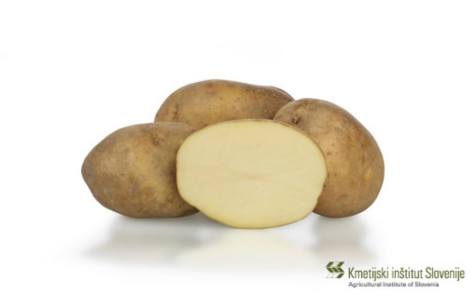 KIS Kokra | Avtor: arhiv KIS