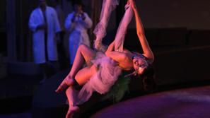 Amorjevo razvajanje na SPArtyju