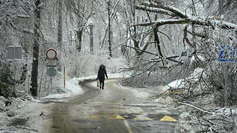 slovenija 04.02.14, sneg, led, zled, snegolom, lom dreves, nevarno vozisce zarad