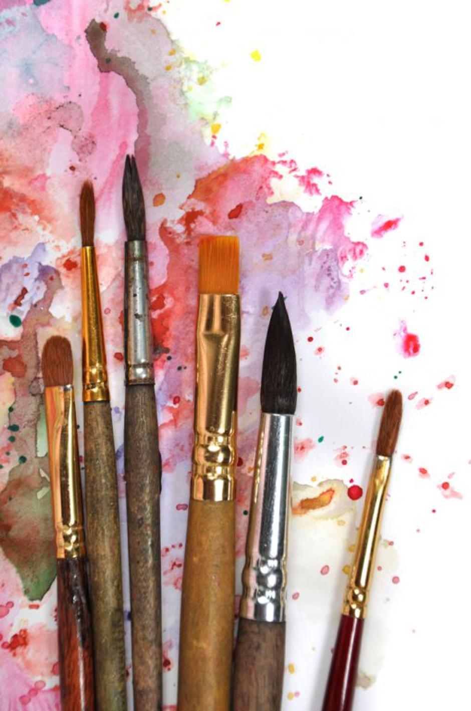 čopiči | Avtor: Shutterstock