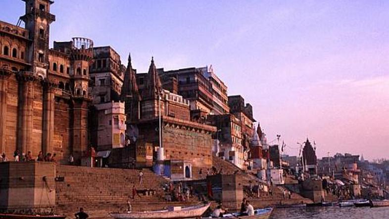 V Indiji so vlaganje v goričično olje razvili in izpopolnili do popolnosti.