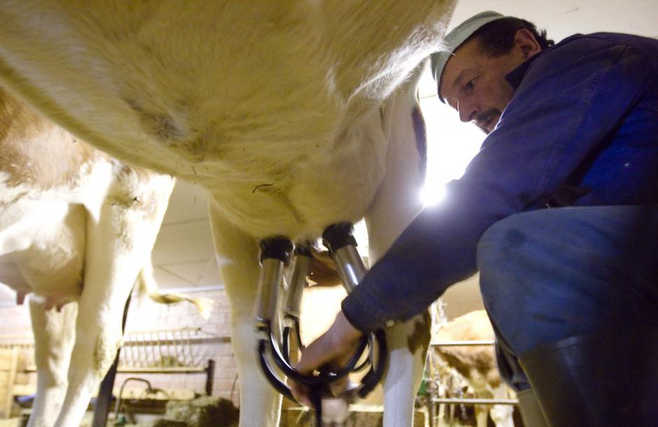 Molža | Avtor: Reuters