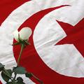 Bela vrtnico pred tunizijsko zastavo mesec po revoluciji.