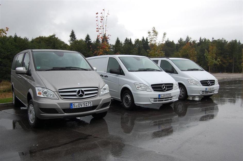 Slovenska predstavitev: Vito in viano