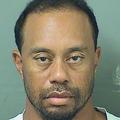 Tiger Woods aretacija