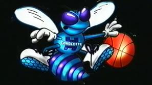 charlotte hornets logo