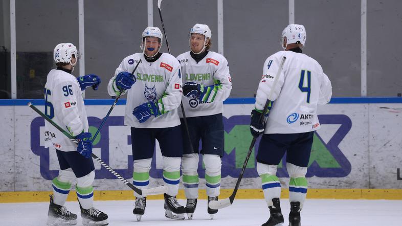 HZS Hokejska zveza Slovenije