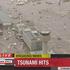 Potres in cunami na Japonskem