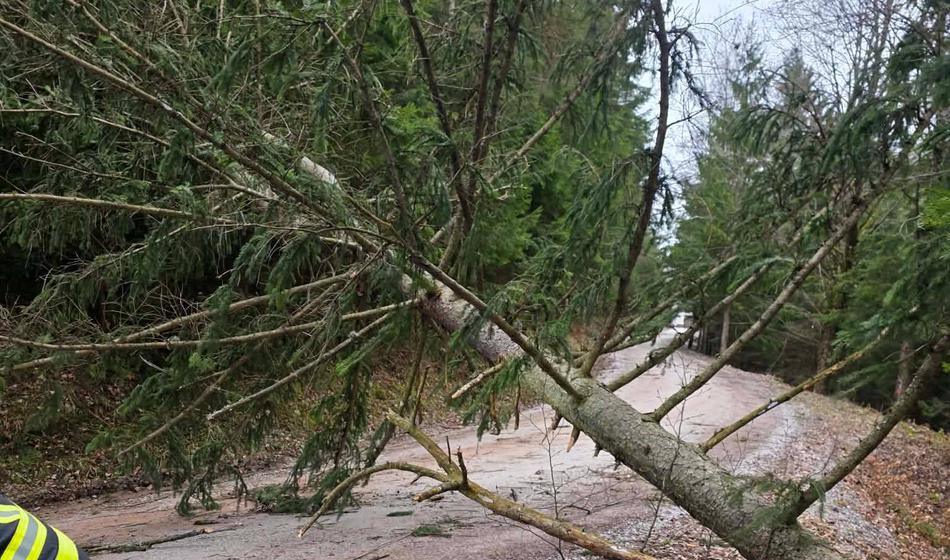 Prizori s terena so šokantni: Veter povzroča pravo razdejanje (Foto in Video)
