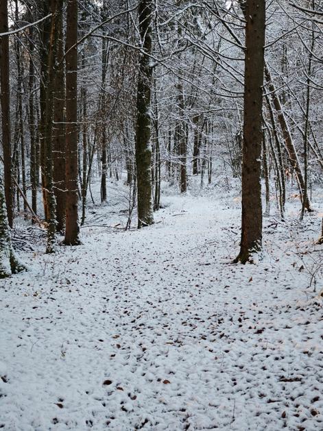 Sneg, zasnežena cesta, vreme, zima