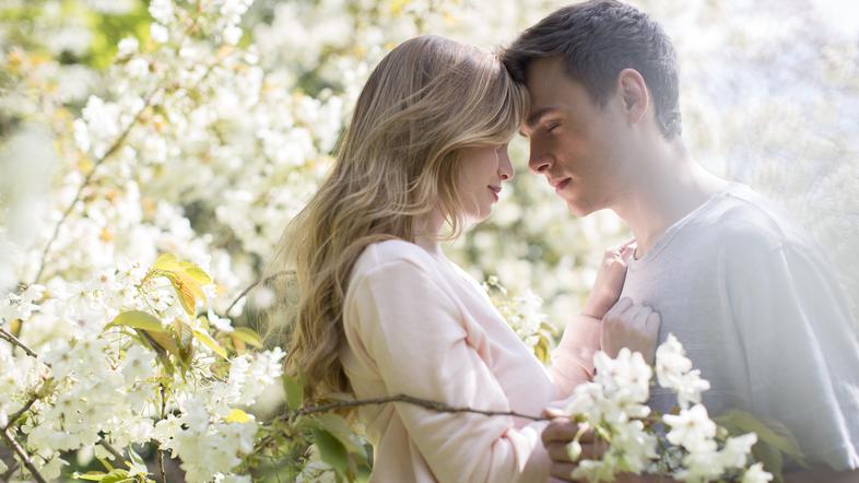 družina, otroci, ljubezen, ženska, služba, sestanek